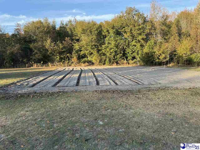 532 Sandy Hill Drive, Dillon, SC 29536