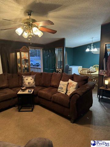 532 Sandy Hill Drive, Dillon, SC 29536