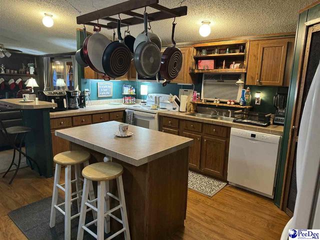 532 Sandy Hill Drive, Dillon, SC 29536