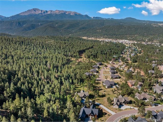 1005 Locklin Way, Woodland Park, CO 80863