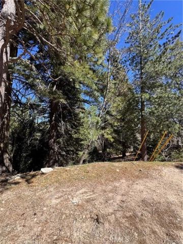 0 Mid, Twin Peaks, CA 92391