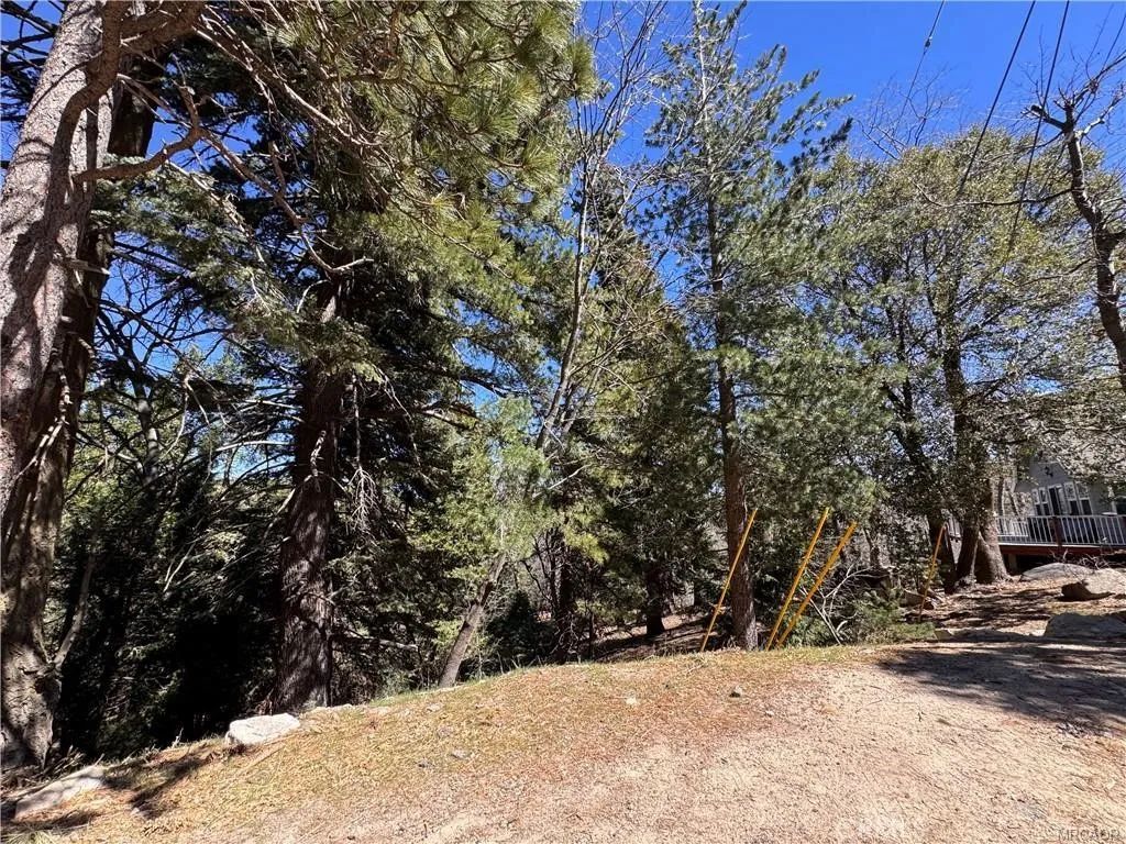 0 Mid, Twin Peaks, CA 92391