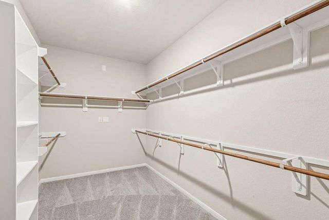 32406 Cedar Elm Drive, Waller, TX 77484