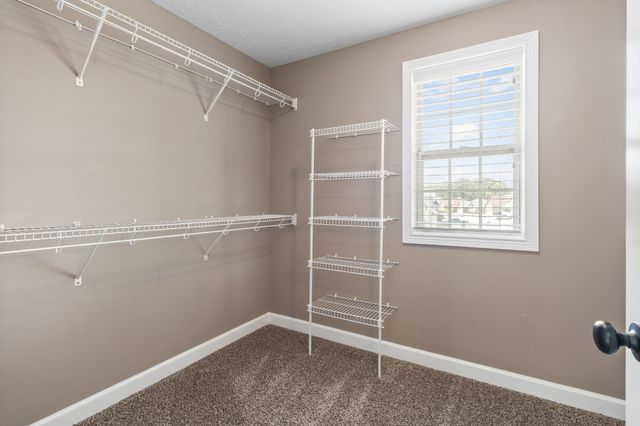 312 Rye Dr, Clarksville, TN 37043