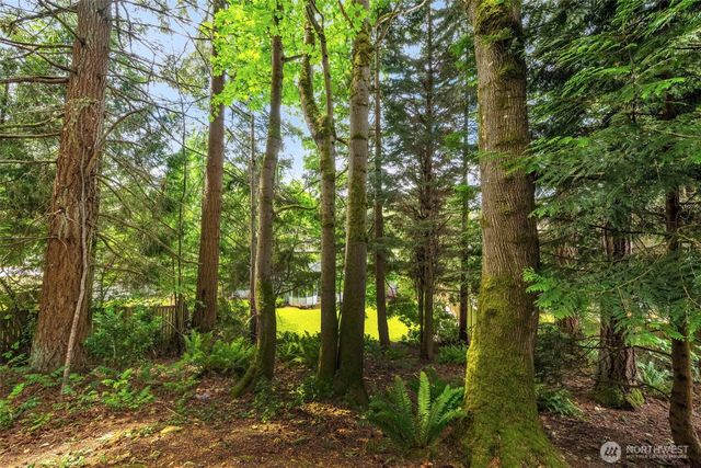 15454 SE 67th Street, Bellevue, WA 98006