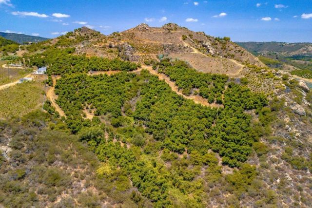 1 Los Gatos, Temecula, CA 92590