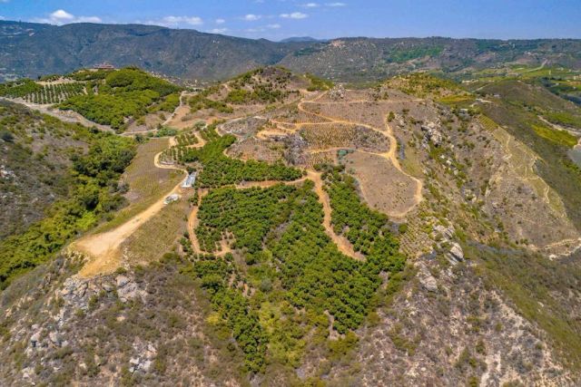 1 Los Gatos, Temecula, CA 92590