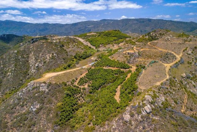 1 Los Gatos, Temecula, CA 92590
