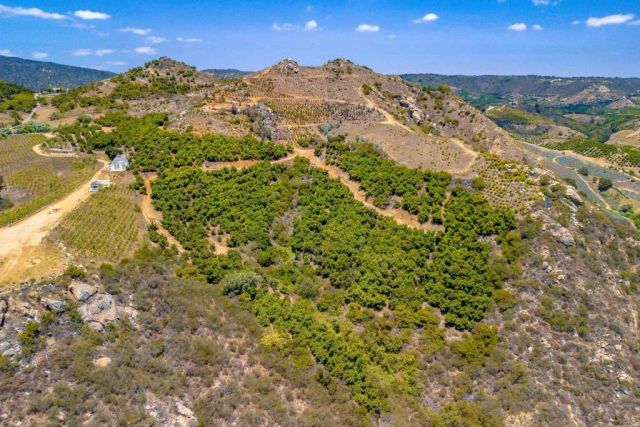 1 Los Gatos, Temecula, CA 92590