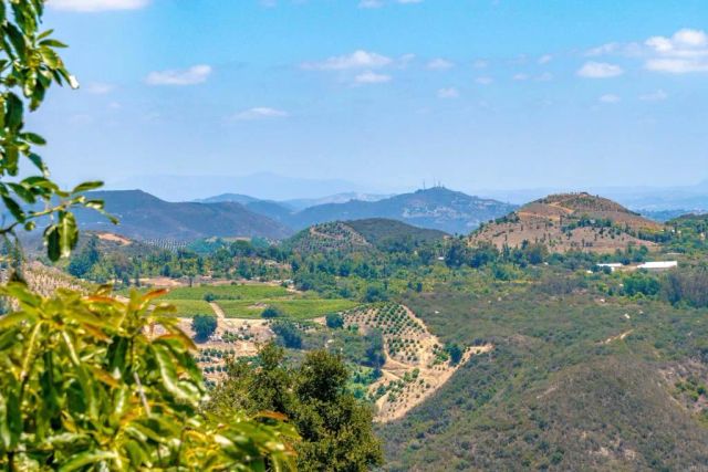 1 Los Gatos, Temecula, CA 92590