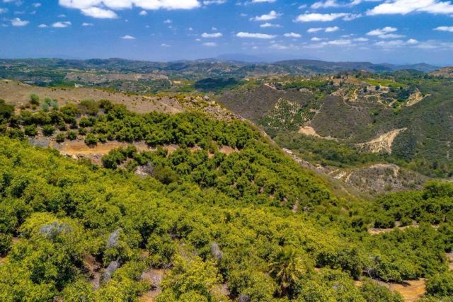 1 Los Gatos, Temecula, CA 92590