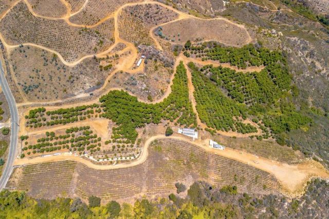 1 Los Gatos, Temecula, CA 92590