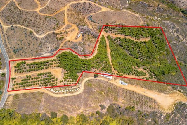 1 Los Gatos, Temecula, CA 92590