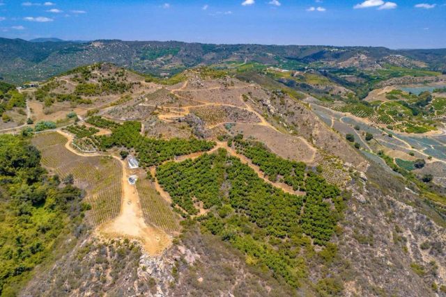 1 Los Gatos, Temecula, CA 92590