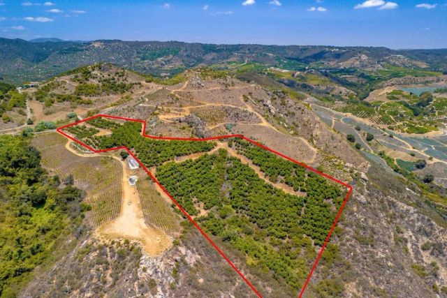 1 Los Gatos, Temecula, CA 92590