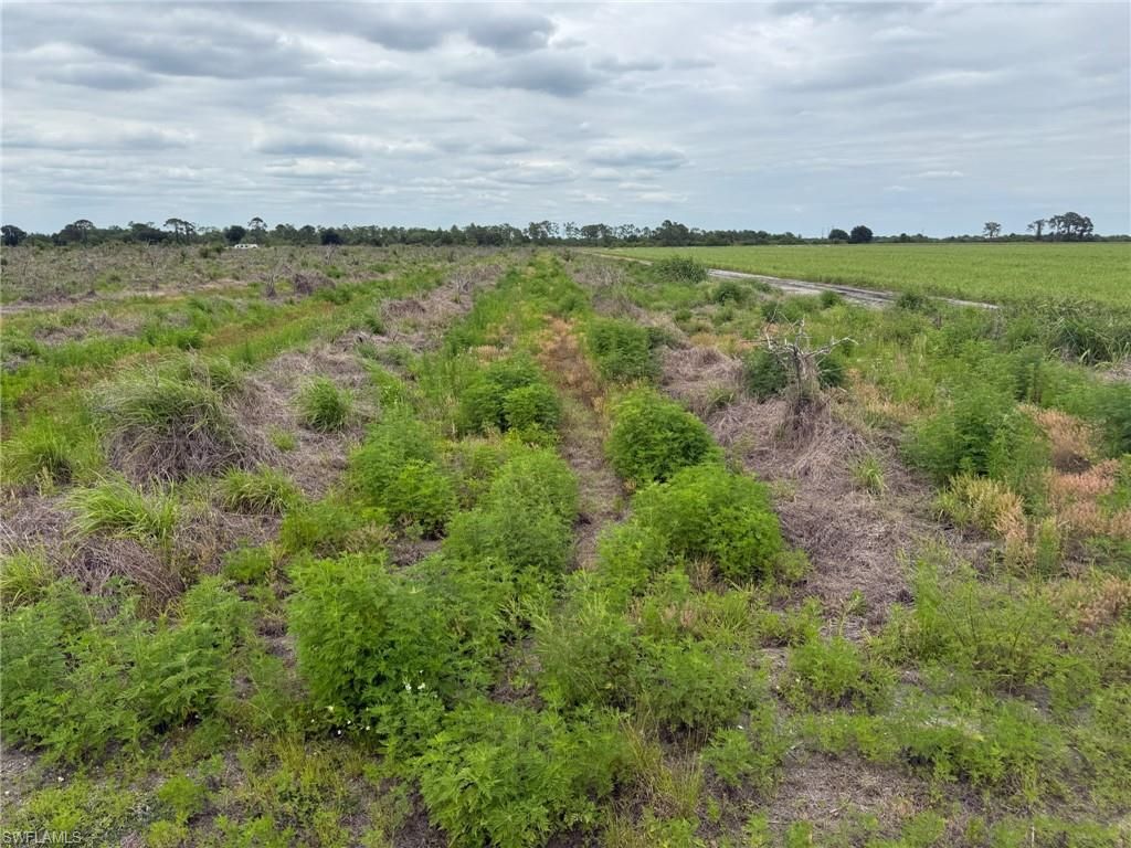 7156 6th RD, LABELLE, FL 33935 — photo 2