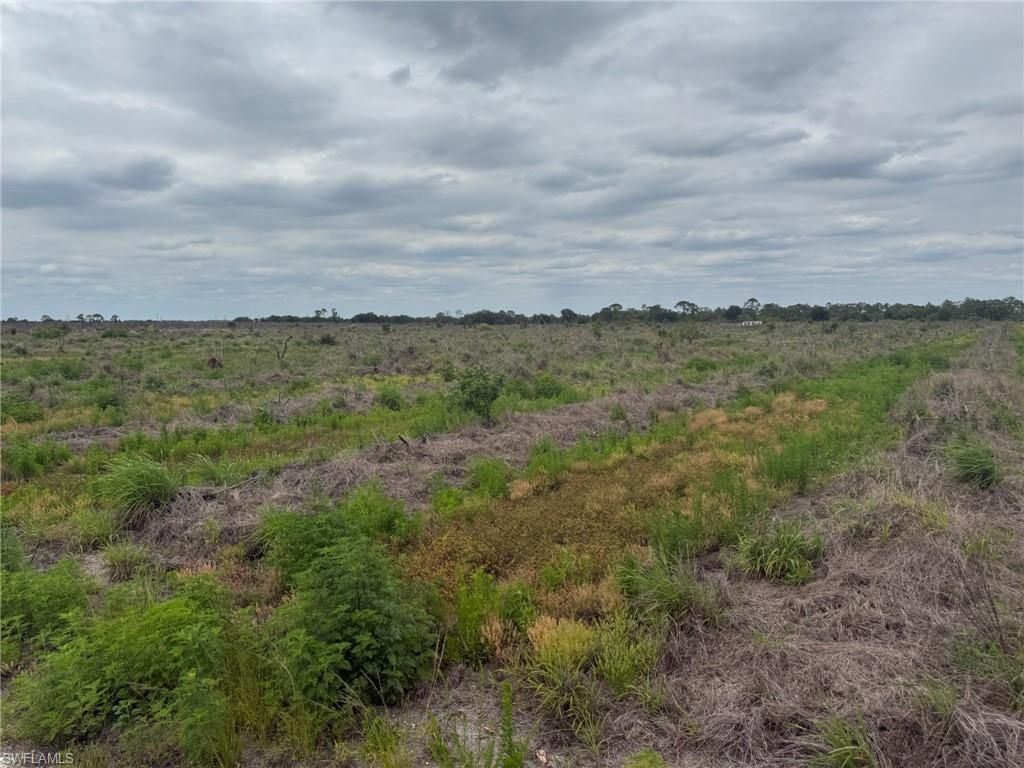 7156 6th RD, LABELLE, FL 33935 — photo 5