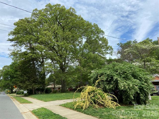 3218 Driftwood Drive, Charlotte, NC 28205