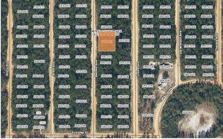TBD NEILSEN AVENUE, Interlachen, FL 32148
