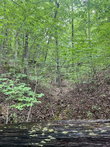 0 Old Mail Road, Duck River, TN 38454