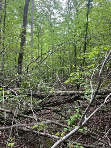 0 Old Mail Road, Duck River, TN 38454