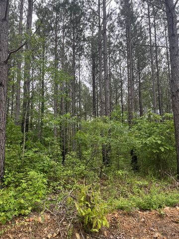 0 Old Mail Road, Duck River, TN 38454