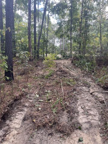0 Old Mail Road, Duck River, TN 38454