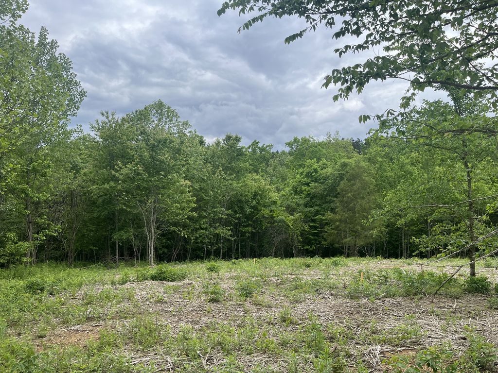 0 Old Mail Road, Duck River, TN 38454