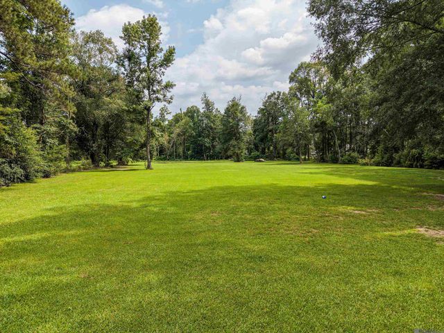 12060 Clanton Dr, Walker, LA 70785
