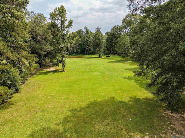 12060 Clanton Dr, Walker, LA 70785
