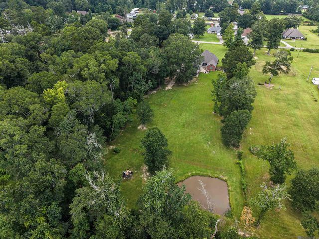 12060 Clanton Dr, Walker, LA 70785
