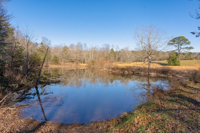 698 Payne Chapel Road, Lookout Mountain, GA 30750