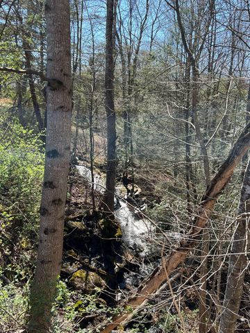 698 Payne Chapel Road, Lookout Mountain, GA 30750