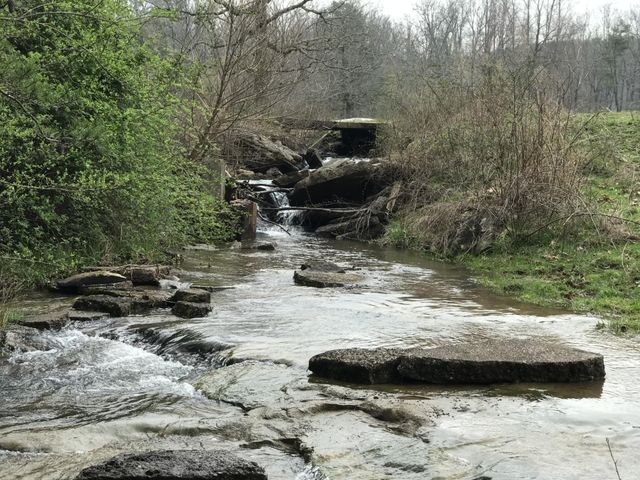 698 Payne Chapel Road, Lookout Mountain, GA 30750