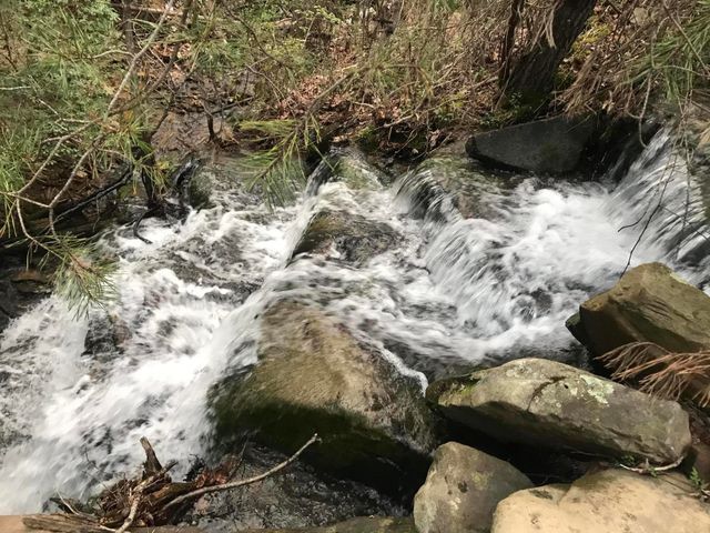 698 Payne Chapel Road, Lookout Mountain, GA 30750