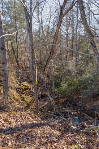 698 Payne Chapel Road, Lookout Mountain, GA 30750