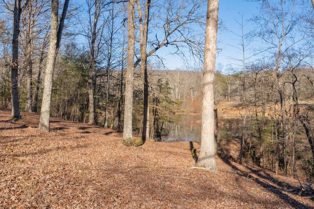 698 Payne Chapel Road, Lookout Mountain, GA 30750