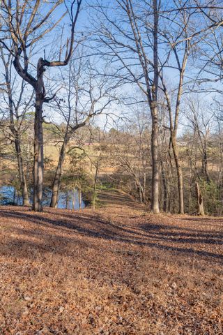 698 Payne Chapel Road, Lookout Mountain, GA 30750