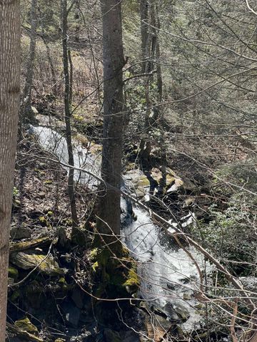 698 Payne Chapel Road, Lookout Mountain, GA 30750