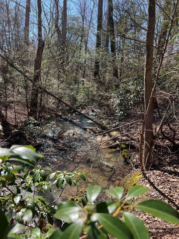 698 Payne Chapel Road, Lookout Mountain, GA 30750