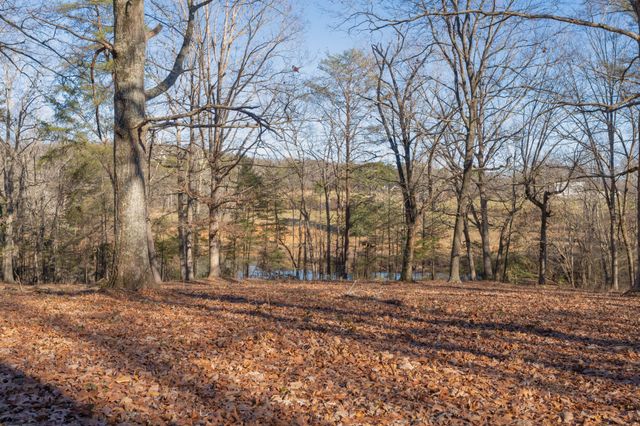 698 Payne Chapel Road, Lookout Mountain, GA 30750