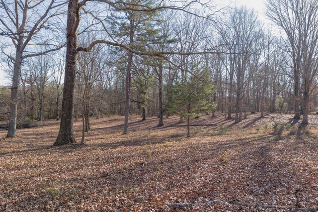 698 Payne Chapel Road, Lookout Mountain, GA 30750