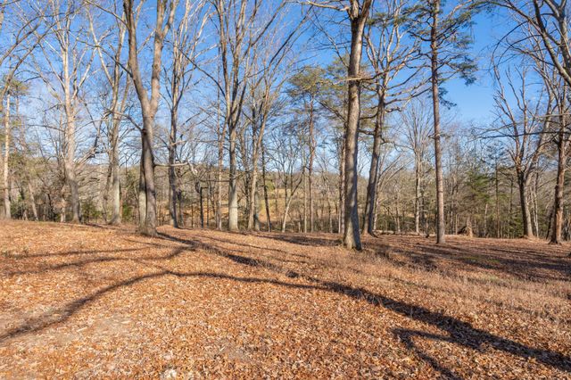 698 Payne Chapel Road, Lookout Mountain, GA 30750