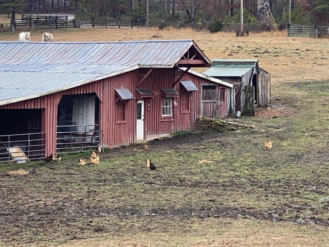 698 Payne Chapel Road, Lookout Mountain, GA 30750