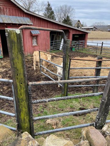 698 Payne Chapel Road, Lookout Mountain, GA 30750