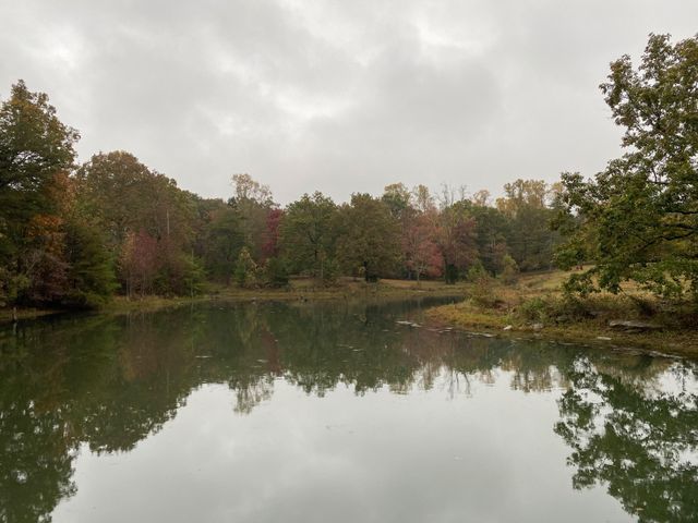 698 Payne Chapel Road, Lookout Mountain, GA 30750