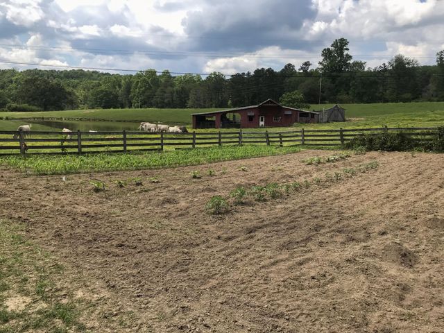 698 Payne Chapel Road, Lookout Mountain, GA 30750