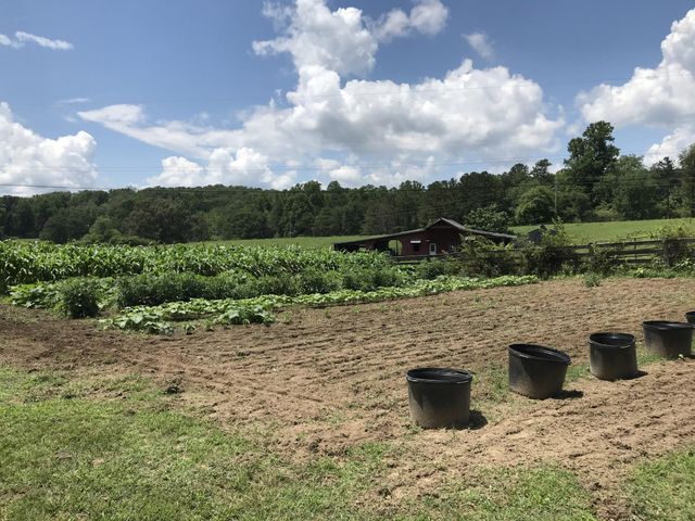 698 Payne Chapel Road, Lookout Mountain, GA 30750