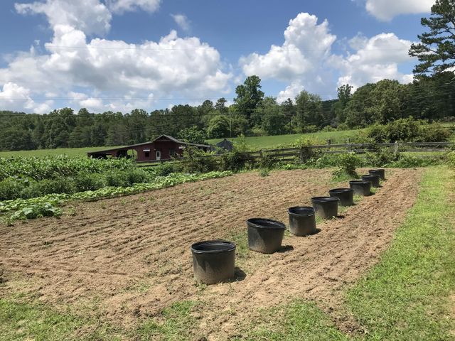 698 Payne Chapel Road, Lookout Mountain, GA 30750