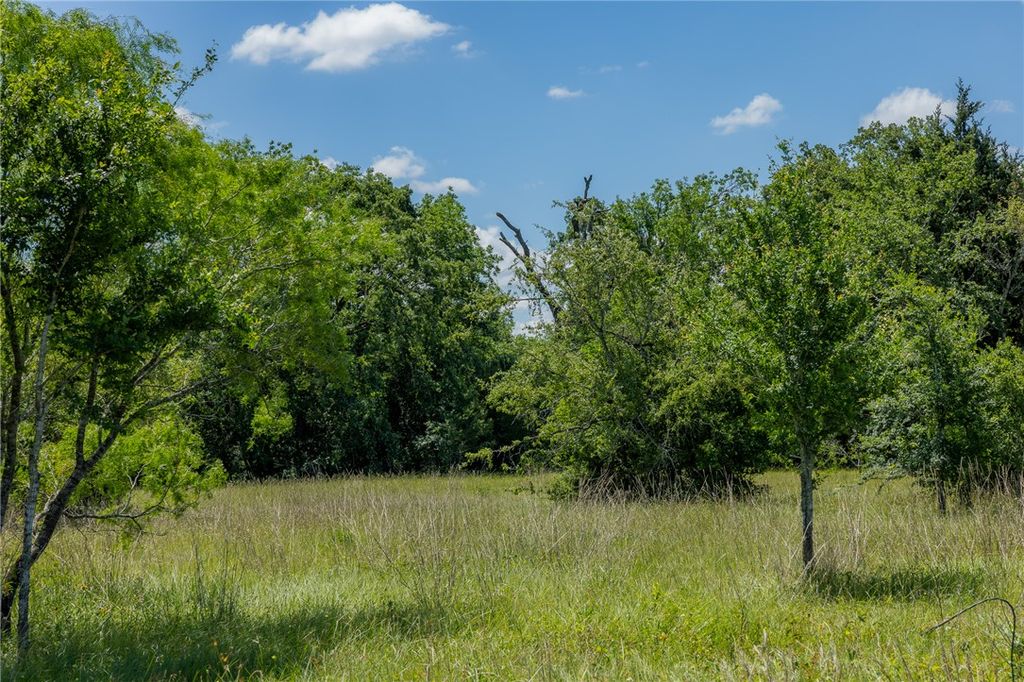 6558 Atakapan Trail, Bedias, TX 77831 — exterior